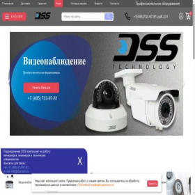 Скриншот главной страницы сайта dss-tech.ru