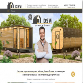 Скриншот главной страницы сайта dsv-group.ru