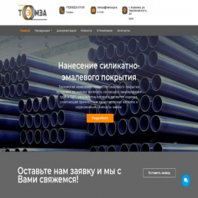 Скриншот главной страницы сайта dt58.ru