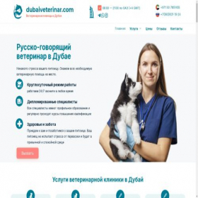 Скриншот главной страницы сайта dubaiveterinar.com