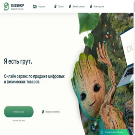 Скриншот главной страницы сайта dubshop.icu