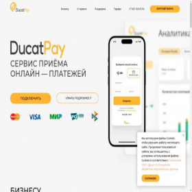 Скриншот главной страницы сайта ducatpay.com