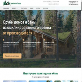 Скриншот главной страницы сайта dv-gnezdo.ru