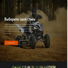 Скриншот главной страницы сайта dvizheniystore.ru