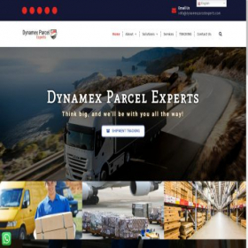 Скриншот главной страницы сайта dynamexparcelexperts.com