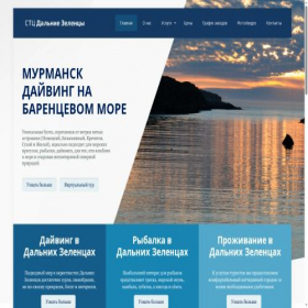 Скриншот главной страницы сайта dztour.ru