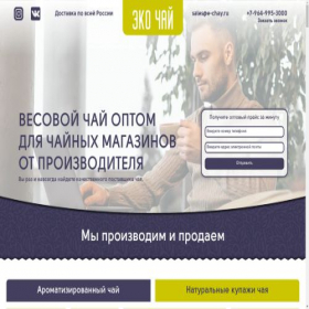 Скриншот главной страницы сайта e-chay.ru