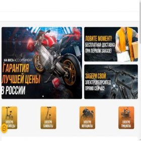 Скриншот главной страницы сайта e-velik.shop