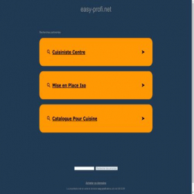 Скриншот главной страницы сайта easy-profi.net