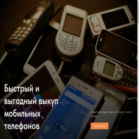 Скриншот главной страницы сайта ebuymob.ru