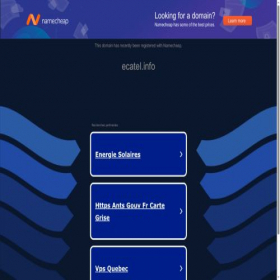 Скриншот главной страницы сайта ecatel.info