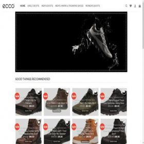 Скриншот главной страницы сайта eccoboot.com