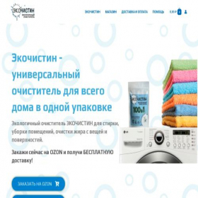 Скриншот главной страницы сайта ecochistin.ru