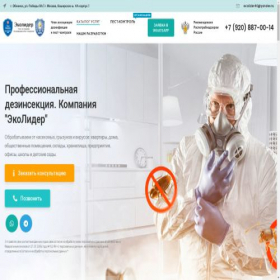 Скриншот главной страницы сайта ecolider-ses.ru