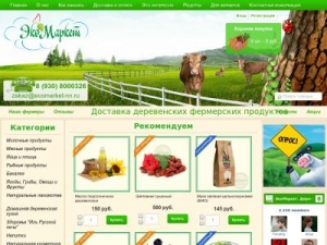 Скриншот главной страницы сайта ecomarket-nn.ru