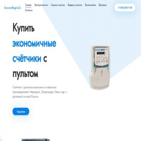 Скриншот главной страницы сайта econom-regim24.store