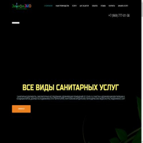Скриншот главной страницы сайта economeco.ru