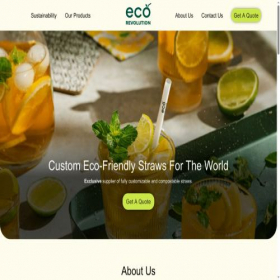 Скриншот главной страницы сайта ecorevenue.com