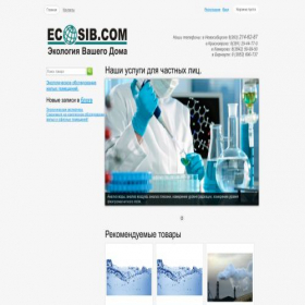 Скриншот главной страницы сайта ecosib.com