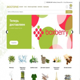 Скриншот главной страницы сайта ecostoria.ru