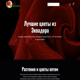 Скриншот главной страницы сайта ecuadorflowers.online
