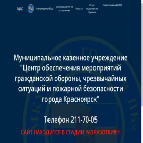 Скриншот главной страницы сайта edds124.ru
