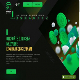 Скриншот главной страницы сайта efinam.com