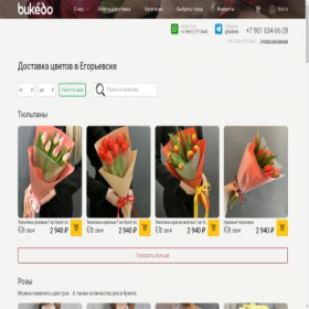 Скриншот главной страницы сайта egorevsk.bukedo.ru