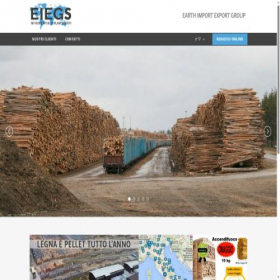 Скриншот главной страницы сайта eiegs.com