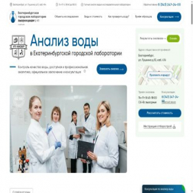 Скриншот главной страницы сайта ekb.analizvody.ru