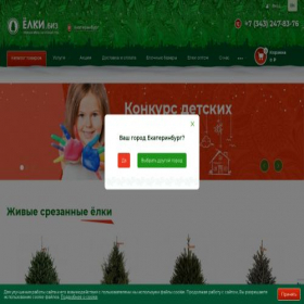 Скриншот главной страницы сайта ekb.elki.biz