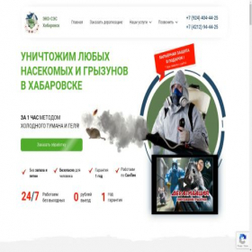Скриншот главной страницы сайта ekoses27.ru