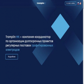 Скриншот главной страницы сайта electrodred.ru