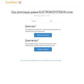 Скриншот главной страницы сайта electronicsystem.ru
