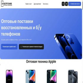 Скриншот главной страницы сайта electronik-optom.ru