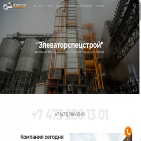 Скриншот главной страницы сайта elevatorsc.ru