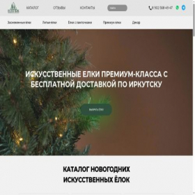 Скриншот главной страницы сайта eli-irkutsk.ru