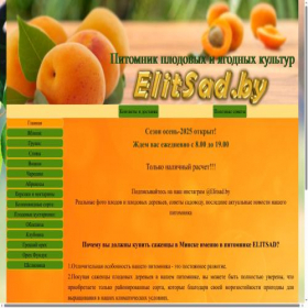 Скриншот главной страницы сайта elitsad.by