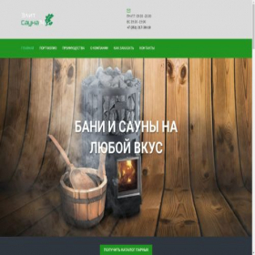 Скриншот главной страницы сайта elitsauna74.ru