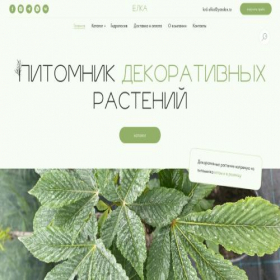 Скриншот главной страницы сайта elka23.com