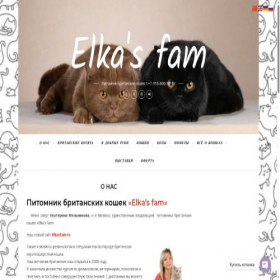 Скриншот главной страницы сайта elkasbricats.ru