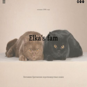 Скриншот главной страницы сайта elkasfam.ru