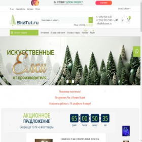 Скриншот главной страницы сайта elkasvet.ru