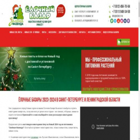 Скриншот главной страницы сайта elkavspb.ru