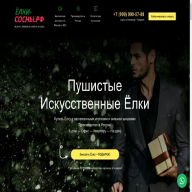 Скриншот главной страницы сайта elki-2024.megasale.top