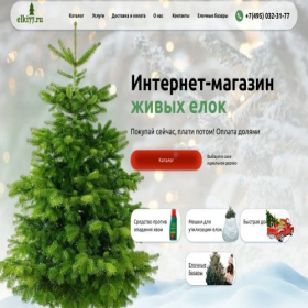 Скриншот главной страницы сайта elki77.ru