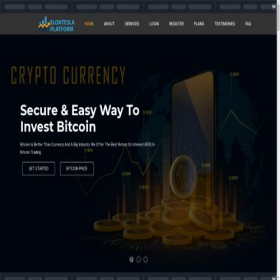 Скриншот главной страницы сайта elonteslaplatform.com