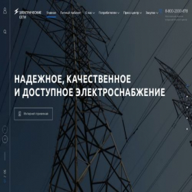 Скриншот главной страницы сайта elseti-rt.ru