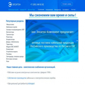 Скриншот главной страницы сайта elsiton.ru