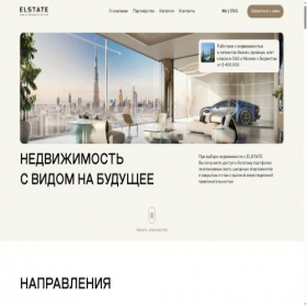 Скриншот главной страницы сайта elstate.ae